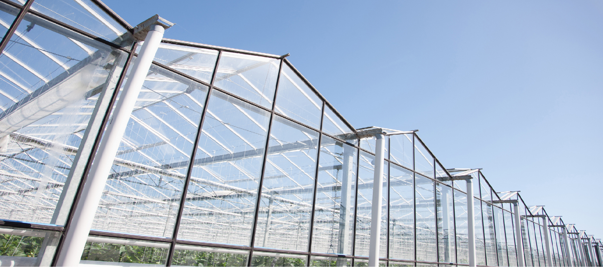 Roofing Industry